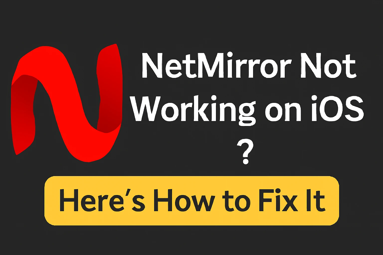 netmirror not working